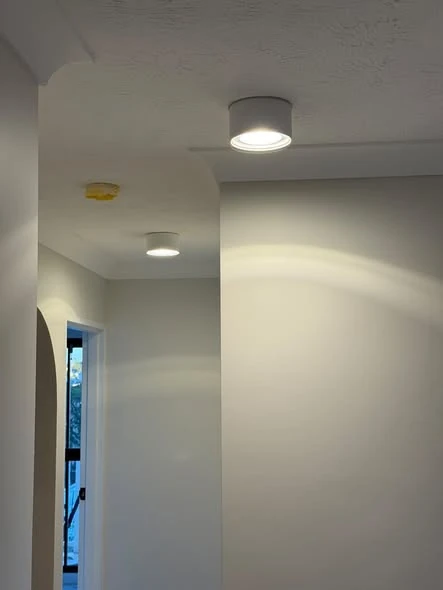 Downlights and smoke alarm